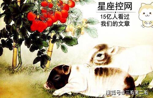 风餐露宿打一准确生肖仔细释义、解释与落实、全面解答解释落实