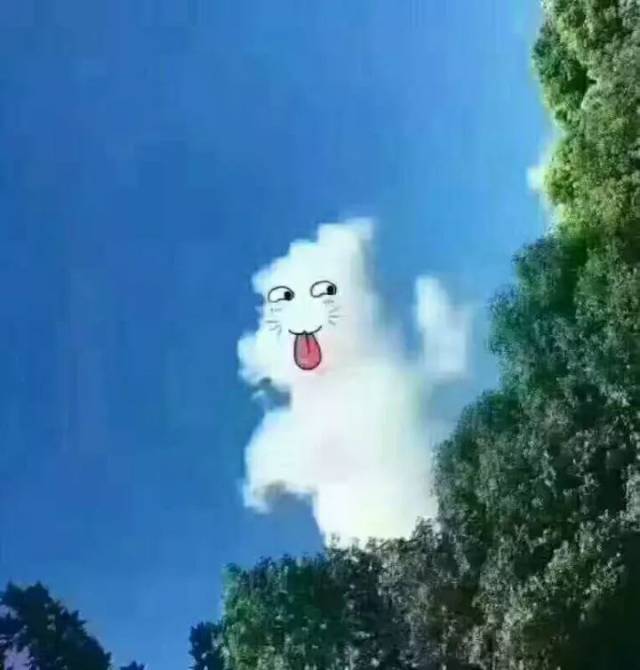 佳人吼码有新招蓝色天空白云飘指什么动物的警惕虚假宣传-全面释义、时代解答解释落实